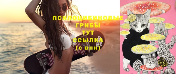 МДПВ Абдулино