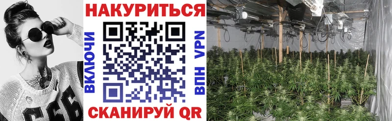 дарк нет клад Монино Бошки марихуана план цены наркотик